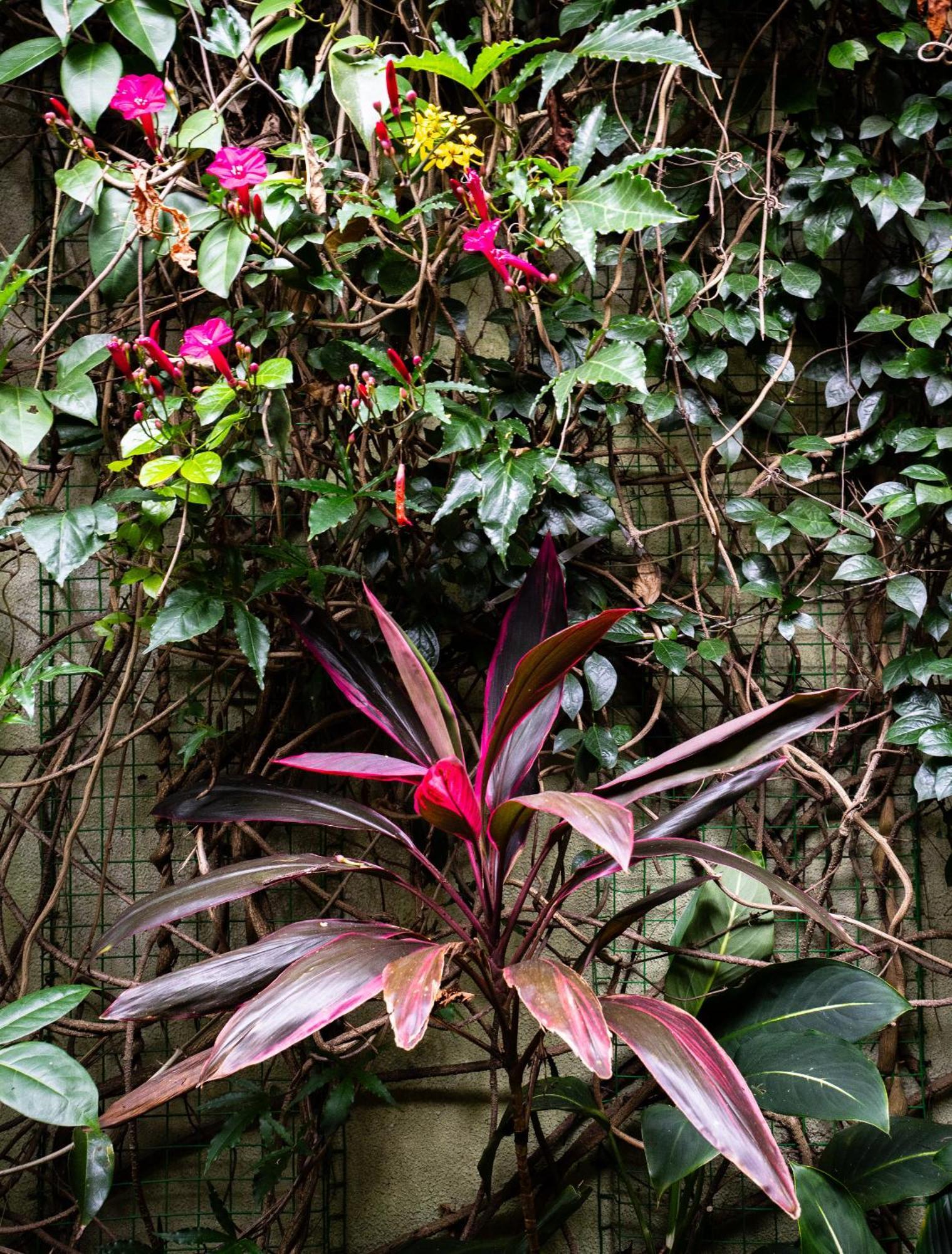Kandy Inn Madugalle'S Family Guest House 외부 사진