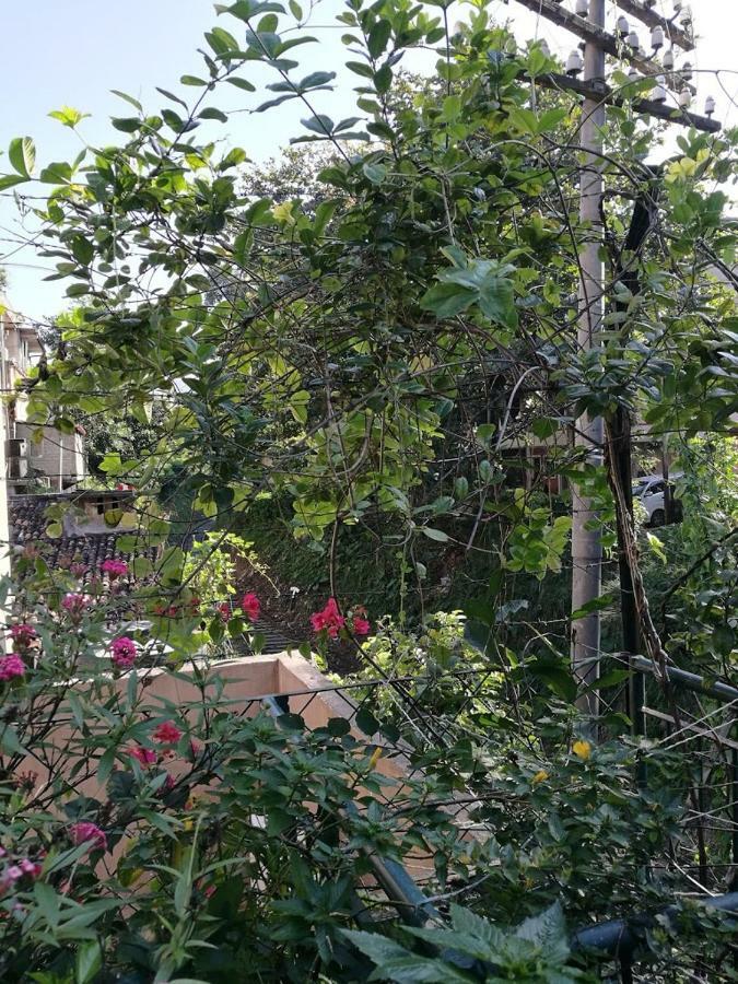 Kandy Inn Madugalle'S Family Guest House 외부 사진